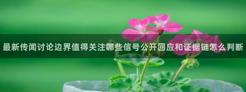 网络今日爆料