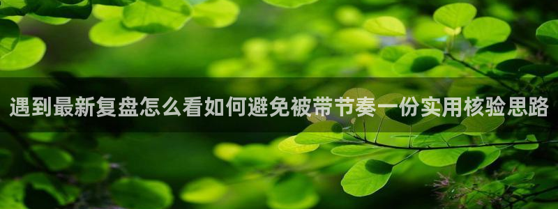 黑料资讯网站