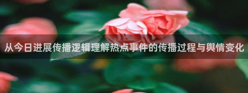 黑料爆料网络信息