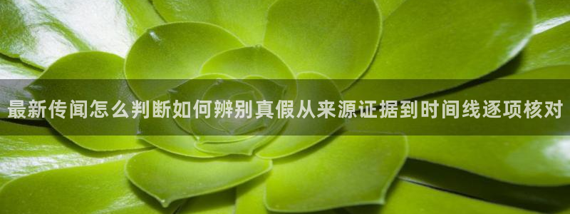 网络资讯爆料