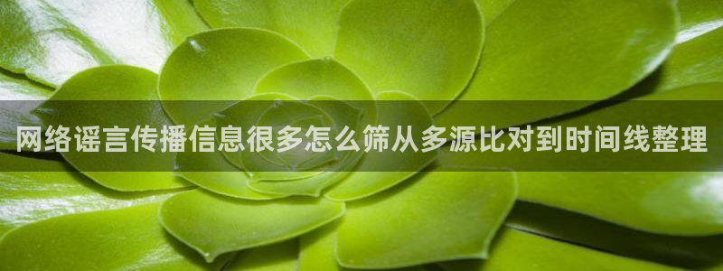 网络事件爆料
