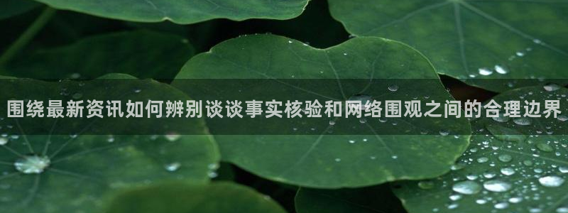热点爆料新闻:围绕最新资讯如何辨别谈谈事实核验和网络围观之间的合理边界